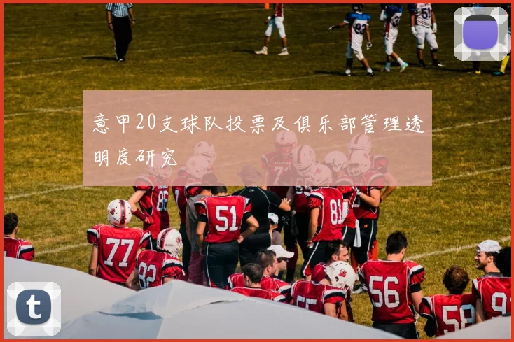 意甲20支球队投票及俱乐部管理透明度研究