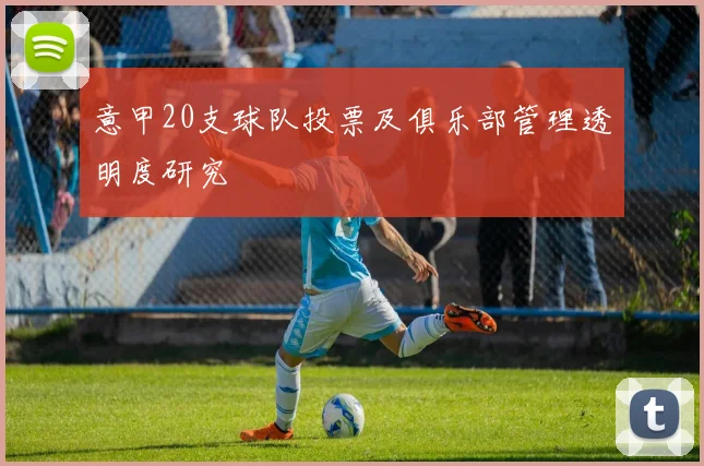 意甲20支球队投票及俱乐部管理透明度研究